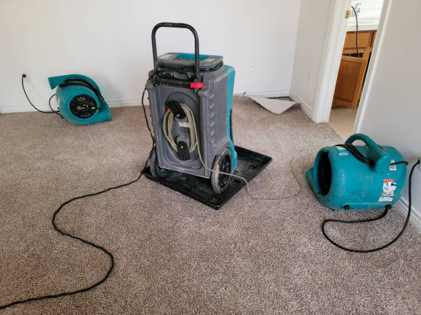 Best Ceiling water damage repair  in Sanford, ME