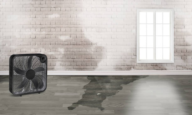 Water damage restoration insurance claims in ME