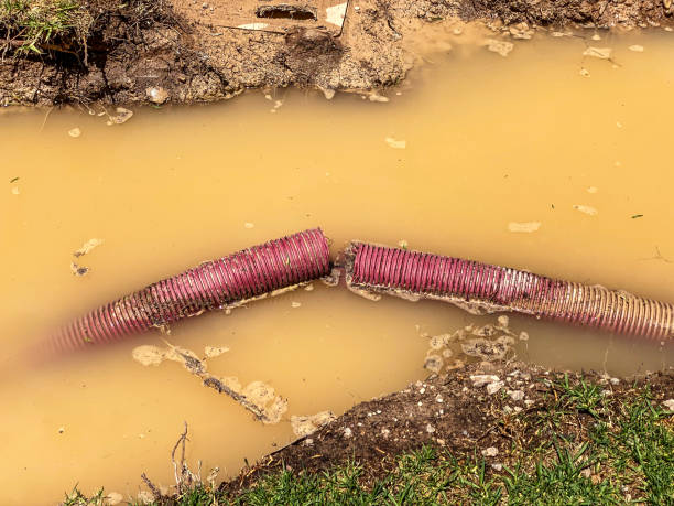 Best Flood restoration services  in Sanford, ME